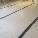 11049509_854725864569522_3010087199290623772_n